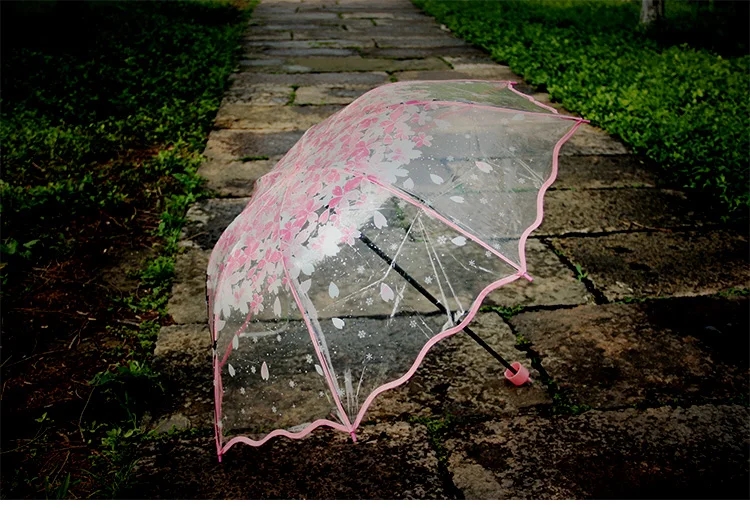 Payung bunga sakura transparan - Women'S Fashion Umbrella ulasan dan harga